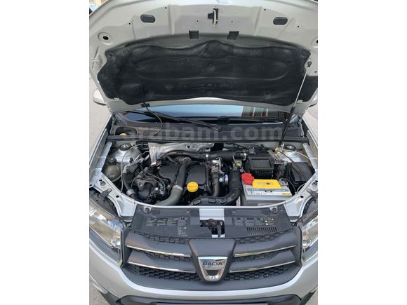 Sahibinden Orjinal Hatasız Kayıtsız Stepway