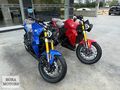 BORA MOTORS EVOKE URBAN CLASSİC 100 KM