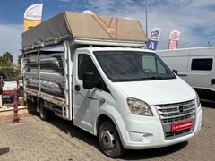 Pikap rus jinsi Erik va dostlari