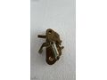 Express Ön Motor Kaput Kilidi İthal 7700766047