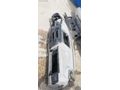 GAZELLE TORPİDOLAR BULUNUR