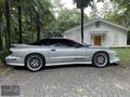 W?YC?RS'DAN HATASIZ PONTIAC TRANS AM(450hp)