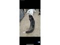 2013 MODEL MERCEDES SPRİNTER ÖN TAMPON ORİJİNAL SIFIR