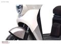 SKYJET GRAPE 25 MAX - SATIŞ *SERVİS *YEDEK PARÇA - GALERİ GÜLHAN