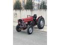 ÇOK TEMİZ 1968 MODEL 135 İNGİLİZ MASSEY FERGUSON TRAKTÖR