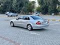 EMSALSİZ TEMİZLİKTE MUAYYER
