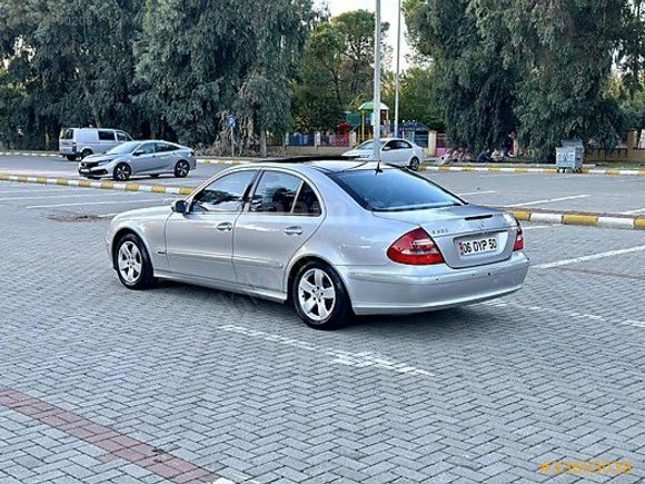 EMSALSİZ TEMİZLİKTE MUAYYER