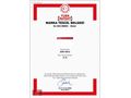 AHMET YURTLU AUTO 2024 e2008 ALLURE CAM TAV KABLOSUZ BOYASIZ