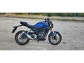 2024 Model Honda CB 250 R