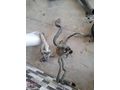 FORD CUSTOM 2.2 ŞU HORTUMU ÇIKMA
