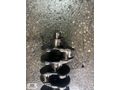 Ford Connect 1.8 tdci Std Krank mili