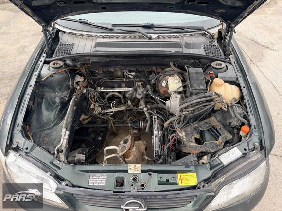 MOTOR ARZALI