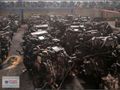 Ford Transit 2.2 Emme Manifoldu