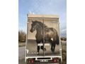 Sahibinden Renault Master 2.3 DCi 