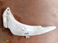 2T14-17618-AB FORD CONNECT YEDEK SU DEPOSU [ 331 ]