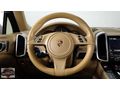 AUTO 25 DEN HATASIZ CAYENNE