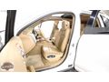 AUTO 25 DEN HATASIZ CAYENNE