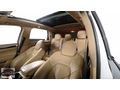 AUTO 25 DEN HATASIZ CAYENNE