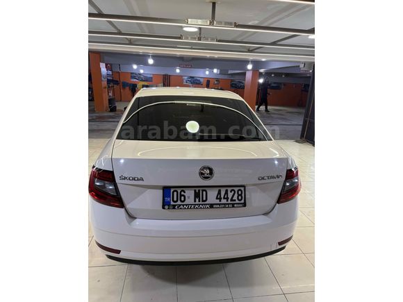 Skoda Octavia 1.6 TDI Style 2019 Model temiz aile aracı
