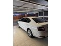 Skoda Octavia 1.6 TDI Style 2019 Model temiz aile aracı
