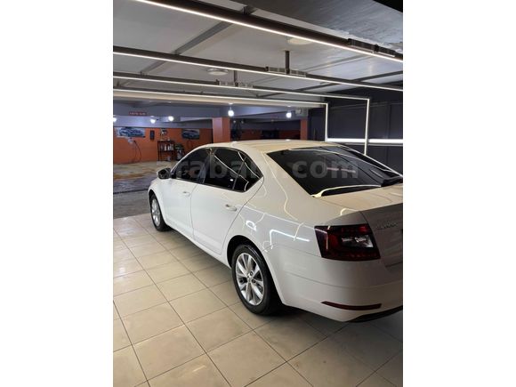 Skoda Octavia 1.6 TDI Style 2019 Model temiz aile aracı
