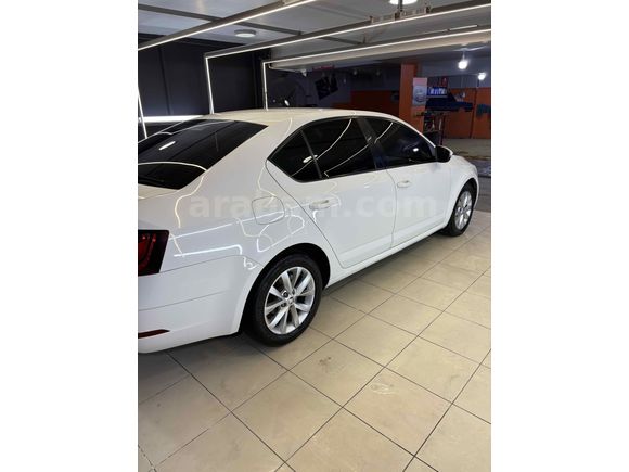 Skoda Octavia 1.6 TDI Style 2019 Model temiz aile aracı
