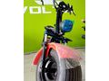 dagg global volta motor bandırma