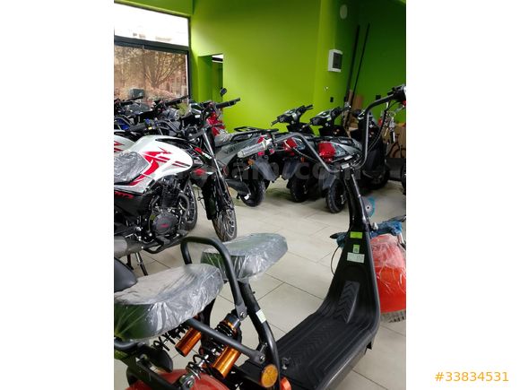 dagg global volta motor bandırma