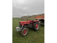 ilk sahibinden Muayeneli Massey Ferguson 135 