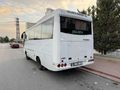 ROYBUS C 2008 