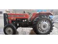 Sahibinden Massey Ferguson 255 T