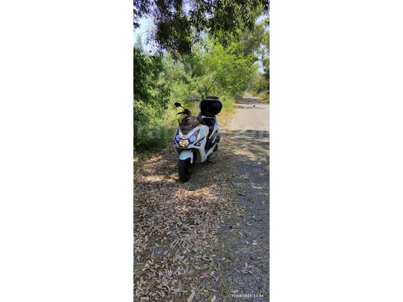 Daelim S3 250 düşük KM