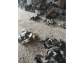 Mercedes Benz bmw Nisan Qashqai fulence emniyet kemerleri