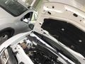 CANDAR dan 1.5 DCI 4x4