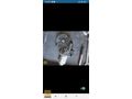 CARAVELLE CAM MOTORU ÖN SAĞ 7E0.959.802.A