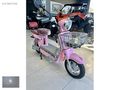 MOTOLÜX GO 55 ELEKTRİKLİ