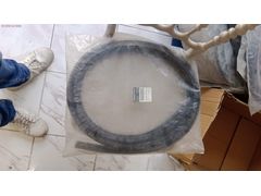 8200744264 CLİO SYMBOL THALİA SAĞ ARKA KAPI FİTİLİ