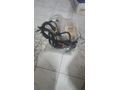 240116270R kango 1.5 motor tesisatı