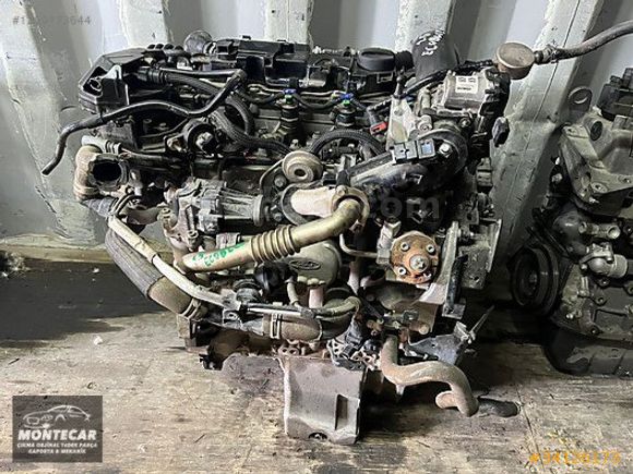 FORD COURİER MOTOR 1.5 ECOBLUE ADBLUE MONTECAR