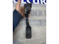 8200 672 367 Renault Master 3 2.3 Gaz Pedalı ORJİNAL