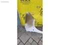 OPEL COMBO E SOL ÇAMURLUK ÇIKMA ORJİNAL YEDEK PARÇA