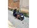 Sahibinden Hero Dash 125 Mat Siyah