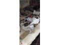 Fiat Marea 2000 motor boğaz kelebeği
