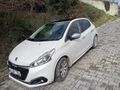 CAM TAVANLI  Peugeot 208 1.2 PureTech Active 2016 Model