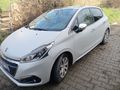 CAM TAVANLI  Peugeot 208 1.2 PureTech Active 2016 Model