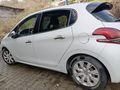 CAM TAVANLI  Peugeot 208 1.2 PureTech Active 2016 Model