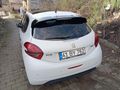 CAM TAVANLI  Peugeot 208 1.2 PureTech Active 2016 Model