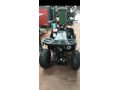 Fırsat SKYJET BRAVES 110 CC OFF ROAD ATV