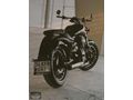 0 AYARINDA/SERVİS BAKIMLI/GARANTİ DEVAM EDİYOR/BENDA ROCK 250