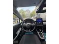 CİTYFİLO OTOMATİK CLİO5